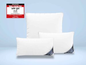 Daunenkissen-Produktbild-1-alle-Groessen