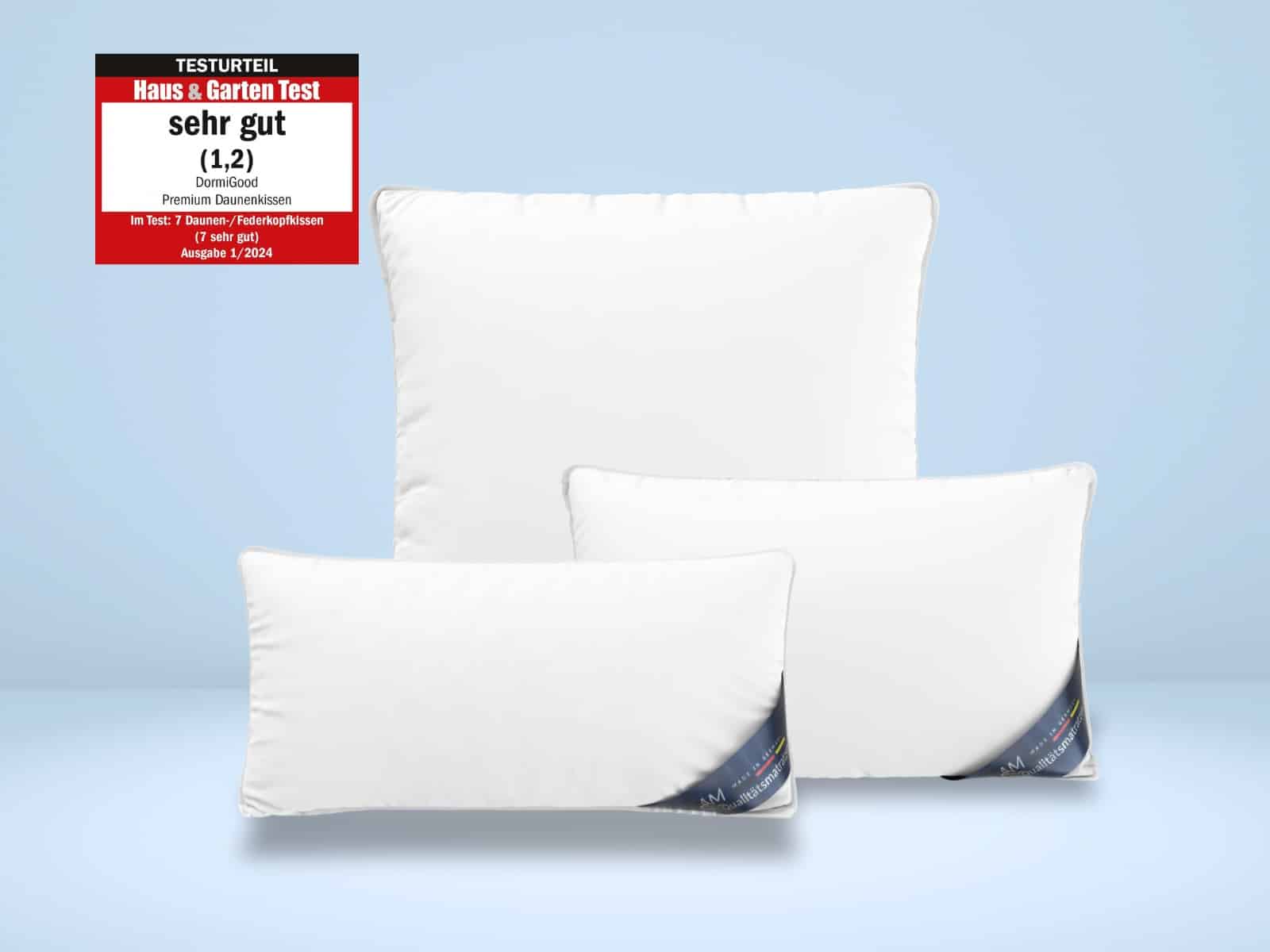 Daunenkissen-Produktbild-1-alle-Groessen