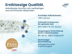 Daunenkissen-Produktbild-3-80x80-1