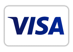 Visa-Zahlung.png